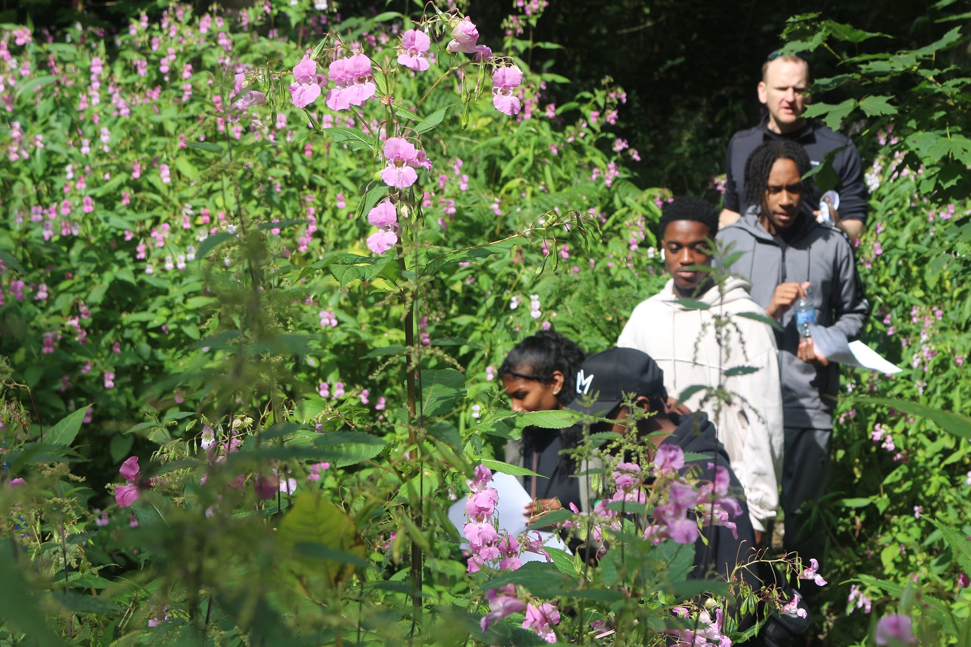 Young adults walk through a green woodland, an older male member of the GIPSIL team follows behind